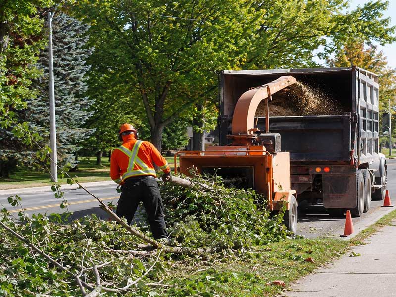Municipal-Greenbelt-Tree-Branch-Cleanup-and-Wood-Chipping-Operations