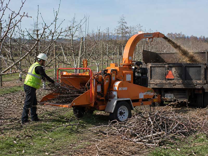 orchard-pruning