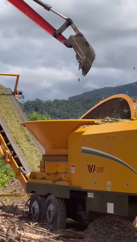 Palm EFB Feed Characteristics That Affect Tub Grinder Selection